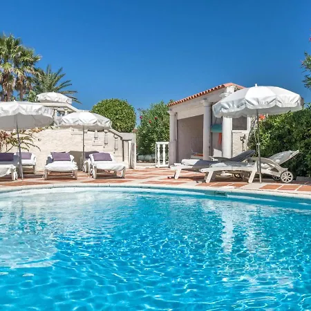 Luxurious In With Jacuzzi Villa